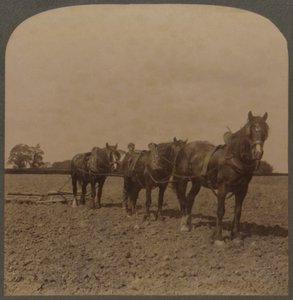 Farming in England - Harrowing the Land, 1909. av Unbekannt