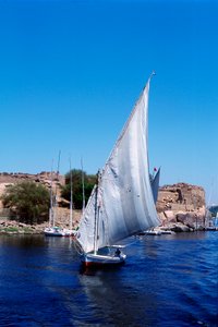 Feluccas på Nilen, Elephantine Island nær Aswan, moderne Egypt av Unbekannt