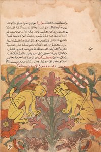 Folio fra en Kalila wa Dimna, 1700-tallet. av Unbekannt