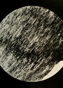 Fossilt tre i sandstein, fra en morene i breddegrad 85° sør, c1908, 1909. av Unbekannt