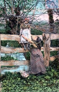 Fransk postkort, c1900 av Unbekannt