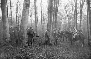 Franske patruljer i Argonne-skogen, Frankrike, 1915 av Unbekannt