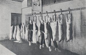 Frosset kjøtt, 1923. av Unbekannt