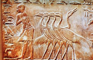 Gjess, veggrelieff fra graven til Ptahhotep, Saqqara, Egypt, 24. århundre f.Kr. av Unbekannt