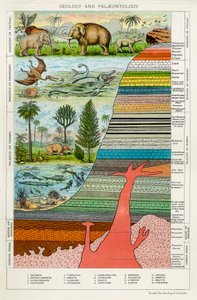 Geologi og paleontologi, c1880 av Unbekannt