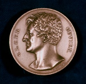 Georges Leopold Chretien Frederic Dagobert, Baron Cuvier, fransk anatom, 1800-tallet av Unbekannt