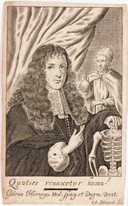 Gideon Harvey, englischer Arzt von Unbekannt