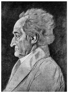 Goethe, tysk poet, 1800-tallet 1956 av Unbekannt