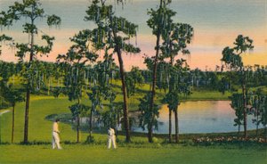 Golf, en helårssport i Florida, c1939 av Unbekannt