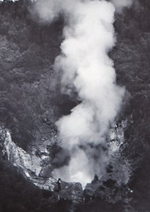 Great Wairakei Geyser, slutten av 1800-begynnelsen av 1900-tallet. av Unbekannt