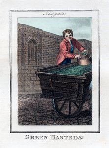 Green Hasteds, Newgate, London, 1805 av Unbekannt
