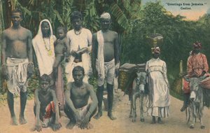 Hilsen fra Jamaica. Coolies, tidlig på 1900-tallet. av Unbekannt