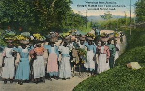 Hilsen fra Jamaica. Går på markedet med Yams og Canes. Constant Spring Road, 1913. av Unbekannt