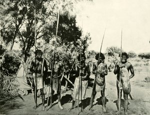 Group of Aboriginal Men, Queensland, Australia, 1901. av Unbekannt