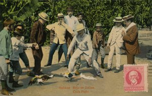 Havanna: Rina de Gallos. Hanekamp, ​​1918 av Unbekannt