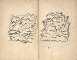 Haedong lidenskap. Hosŏ chŏndo. av Unbekannt