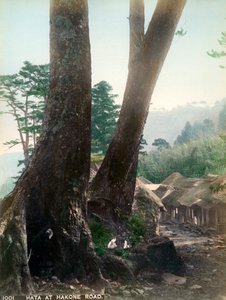 Hata ved Hakone Road, Japan, tidlig på 1900-tallet av Unbekannt