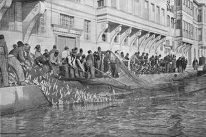 Innhaling av en Grippo på 15000 fisk ved Emirgian på Bosporos, c1901, 1903 av Unbekannt
