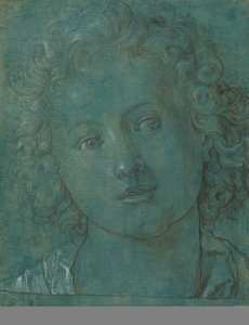 Head of a Boy, andre halvdel av 1500-tallet. av Unbekannt