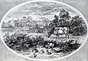 Hodestykke av Thomas Bewick av Unbekannt