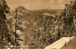 Kraftig snøfall nær Kasumpti, Shimla, c1918-c1939. av Unbekannt