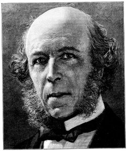 Herbert Spencer , engelsk filosof og sosiolog, 1897 av Unbekannt