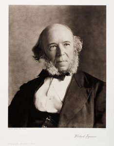 Herbert Spencer , engelsk sosialfilosof av Unbekannt
