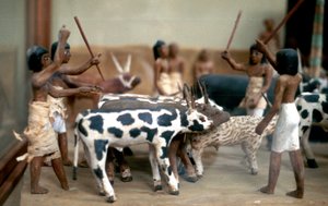 Gjeting av storfe, gammel egyptisk gravmodell av Unbekannt