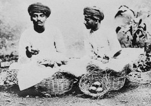 Hindufruktselgere, India, 1900-tallet av Unbekannt