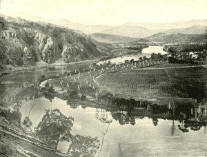 Hop Gardens i Tasmania, 1901. av Unbekannt