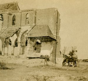 Hester som beiter nær kirkeruin, Frise, Nord-Frankrike, c1914-c1918 av Unbekannt
