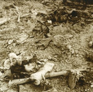 Menneskelige levninger, Verdun, Nord-Frankrike, c1914-c1918 av Unbekannt
