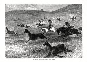 Jakt på Guanacos med Bolas, Sør-Amerika, 1877 av Unbekannt