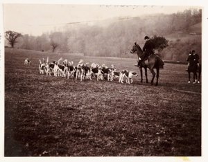 Huntsman and Hounds, ca 1905 av Unbekannt