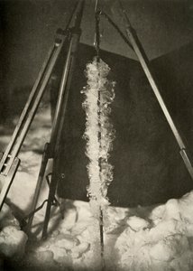 Iskrystaller dannet på linjen til en fiskefelle, c1908, 1909 av Unbekannt