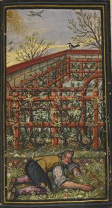 Illustrasjon for Det evige livs vidunderlige sommertid av Jacob Zader, 1603 av Unbekannt