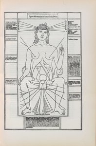 Illustrasjon fra Fasciculo di medicina av Johannes de Ketham, 1493. av Unbekannt