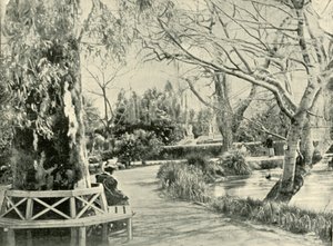 I den botaniske hagen, Adelaide, 1901. av Unbekannt