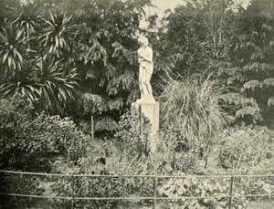 I Fitzroy Gardens, Melbourne, 1901. av Unbekannt