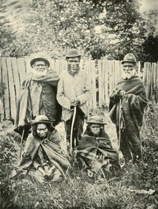 Urfolk i Vest-Australia, 1901. av Unbekannt