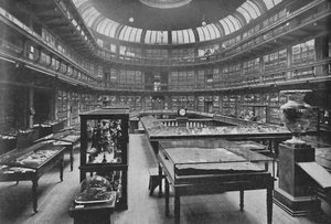 Interiør av Geologisk museum, Jermyn Street, 1904 av Unbekannt