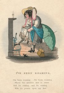 Ich bin umhergewandert, 1828