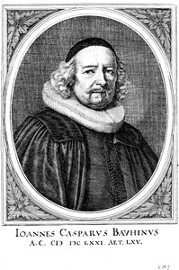 Jean Caspar Bauhin 1606-1659, sveitsisk lege og botaniker av Unbekannt