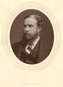 John Lubbock , første baron Avebury , engelsk bankmann, arkeolog, naturforsker og politiker, c1880 av Unbekannt