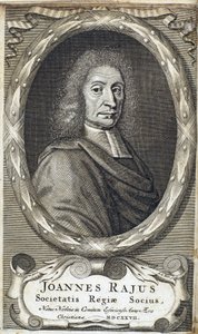 John Ray (Wray), engelsk naturforsker, ca 1700 av Unbekannt