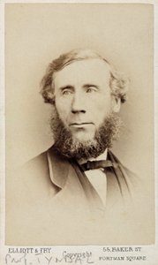 John Tyndall , irsk fysiker, ca 1875 av Unbekannt