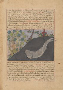 Jonah and the Whale, Folio fra et Majma' al-Tavarikh Compendium of Histories..., ca. 1425. av Unbekannt