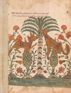 Kalila Upbraiding Dimna, Folio fra en Kalila wa Dimna, 1700-tallet. av Unbekannt