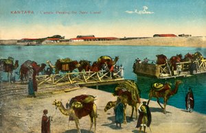 Kantara - Kameler som passerer Suez-kanalen, c1918-c1939. av Unbekannt