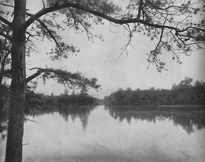 Lake of the Isles, Thousand Islands, c1897. av Unbekannt